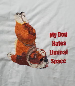 My Dog Hates Liminal Space | Vida Beyer